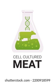 cultured meat in test tube made from beef animal cells artificial lab grown meat production concept