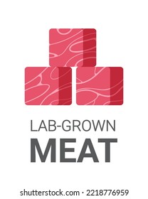 cultured raw red meat made from animal cells artificial lab grown meat production concept
