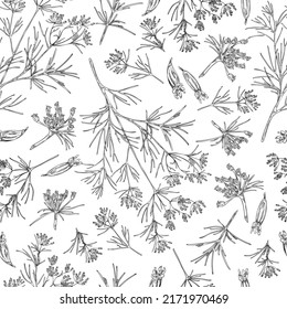 Cumin or caraway plant seamless pattern hand drawn sketch vector illustration. Vintage retro style background design with cumin spice seeds and branches.