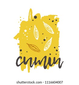 Cumin concept design. Hand drawn vector illustration. Herbs and spices. Can be used for farmers market, food festival, menu, cafe, restaurant, bar, poster, banner, emblem, sticker, placard.