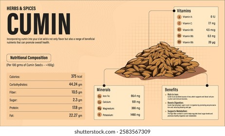 Cumin Herb Nutrition Facts and Health Benefits–Detailed Vector Infographic for Healthy Eating and Wellness