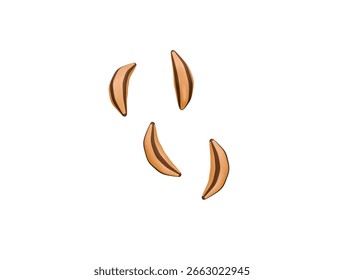 cumin icon 3d illustration render