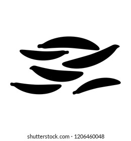 cumin icon, vector illustration