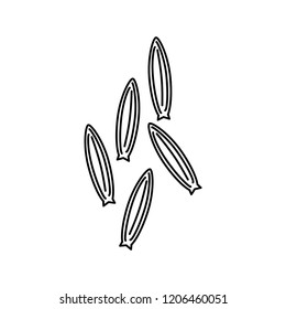 cumin icon, vector illustration