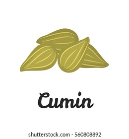 Cumin seeds color flat icon for web and mobile design
