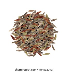 Cumin seeds isolated on white background. Vector illustration. Top view