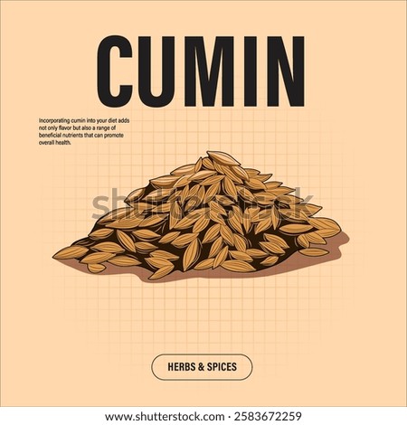 Cumin Seeds Premium Vector Clipart High-Quality Illustration for Cooking Branding and Packaging