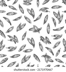 Cumin seeds seamless pattern, hand drawn sketch vector illustration on white background. Monochrome zira seeds with engraving texture. Delicious and aromatic condiment for cooking.