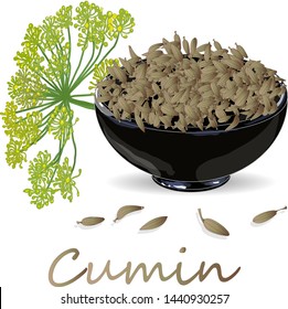 Cumin (Zira) seeds seasoning for meals and soups on a white background vector illustration.