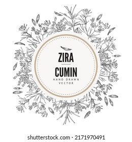 Cumin or zira spice and food seasoning ingredient label design with circle frame, hand drawn monochrome sketch vector illustration isolated on white background.