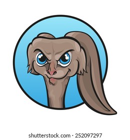 cunning rabbit