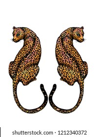 The cuople Jaguar on white background,hand draw