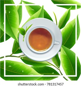 Cup of black tea with tea leaves  on green background. vector illustration.