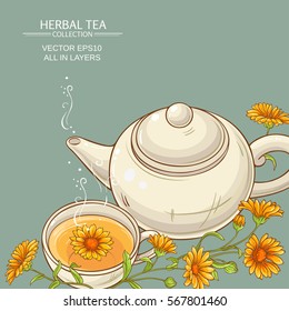 cup of calendula tea  and teapot vector background