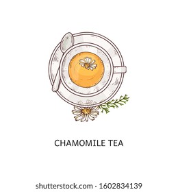 Cup of chamomile herbal organic tea icon vector illustration in sketch doodle style isolated on white background. Various tea types symbol for menu and product packaging.