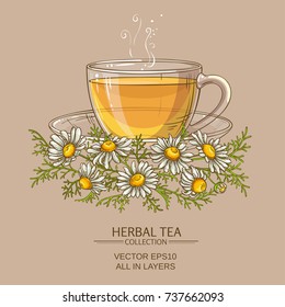cup of chamomile tea on color background