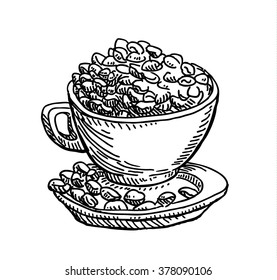 Cup of coffee and beans sketch  drawing. Vintage  line style illustration. 
For restaurant and  cafe design
