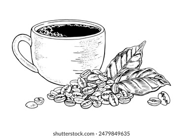 Cup of Coffee and Beans. Vector hand drawn illustration. Mug and grains with leaves. Vintage black and white art. Changeable background color. Food clipart sketch drawing. For packaging and cafe menus