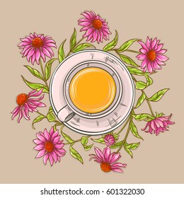 cup of echinacea tea