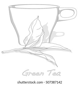 cup of fresh green tea vector isolated on white background