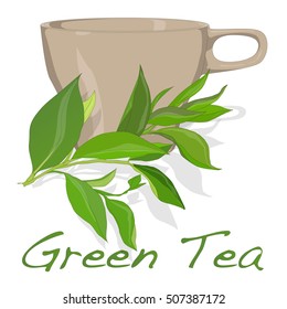 cup of fresh green tea vector isolated on white background