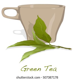 cup of fresh green tea vector isolated on white background