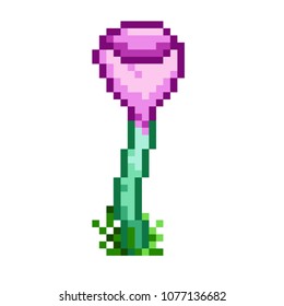 The Cup Fungi. Pixel Art. Vector.