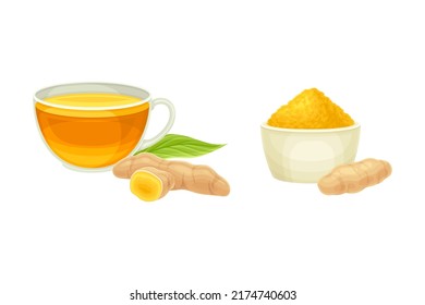 Cup of ginger tea and powder set. Aromatic herbal plant. Eco healthy superfood vector illustration