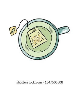 Cup of green tea. Hand drawn cartoon style green tea bag drink.