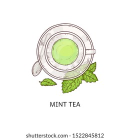 Cup of herbal mint flavor tea with green leaves icon vector illustration in sketch style isolated on white background. One of the various organic herbal tea types.