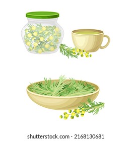 Cup of herbal tea and dried wormwood plant in jar. Artemisia mongolica, flowering herbaceous medicinal plant vector illustration