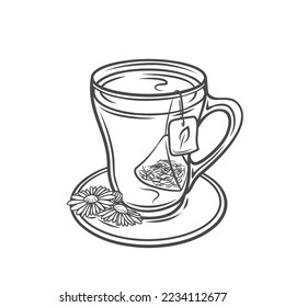 Cup with herbal tea line icon vector illustration. Hand drawn outline glass teacup with tea bag in hot water, organic leaf and aromatic chamomile flowers on saucer, rustic drink for healthy sleep