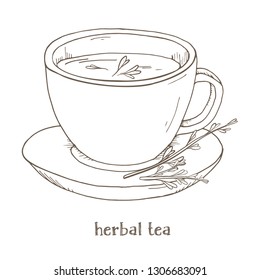 Cup of herbal tea. A Cup of medicinal herbs . Monochrome vector illustration in sketch style. Black and white silhouette.