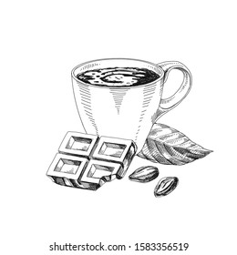 Cup of hot chocolate hand drawn vector illustration. Cacao drink retro ink drawing. Chunk of chocolate and seeds. Engraved style cocoa products. Vintage freehand sketch isolated on white background