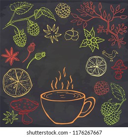 Cup hot drink, leaves, raspberries, lemon, biscuit, aniseed on chalkboard. Vector illustration. Perfect for postcard, greeting card, print.