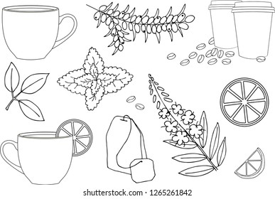 Cup of hot tea, cup of herbal tea. Various herbal tea ingredients collection over white background. Vector illustration set.