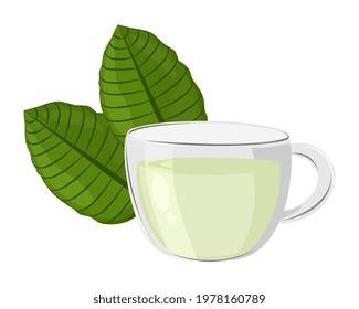 Cup Of Kratom Tea With Fresh Kratom Leaf (Mitragyna Speciosa) Isolated On White Background. Icon Vector Illustration.