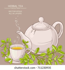 cup of marjoram tea and teapot