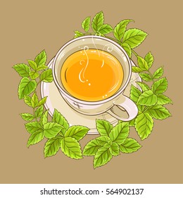 cup of melissa tea