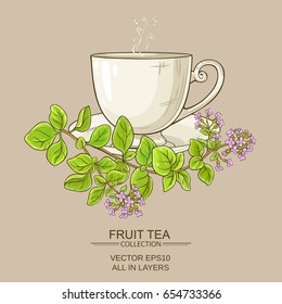 cup of oregano tea on color background