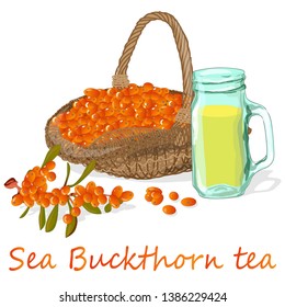 Cup of sea buckthorn tea. Branch of sea buckthorn berries with leaves. Vector illustration set on white background. 