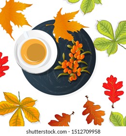 Cup of sea buckthorn tea on the dish. Branch of sea buckthorn berries with leaves. Vector illustration set on white background. 