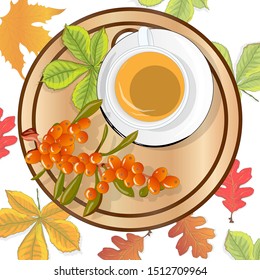 Cup of sea buckthorn tea on the dish. Branch of sea buckthorn berries with leaves. Vector illustration set on white background. 