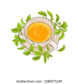cup of stevia tea illustration on white background