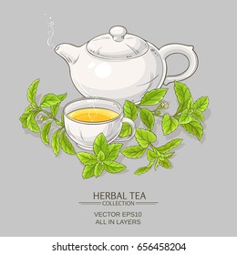 cup of  stevia tea and teapot on color background