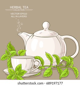 cup of  stevia tea and teapot on color background