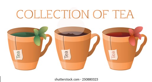 cup of tea, black tea, green tea, oolong tea, fruit tea, tea