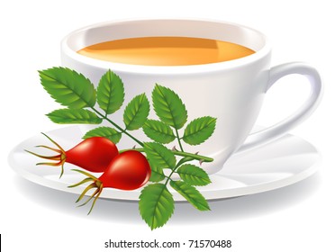 A cup of tea and a branch of wild rose. Vector illustration.