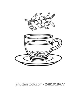 Cup of tea with healthy tea, sea buckthorn. Hand drawn vector illustration in outline style.