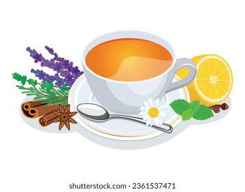 Cup of tea with herbs, spices and lemon vector illustration. Herbal Tea healthy hot drink icon vector isolated on a white background. Winter vitamin drink still life